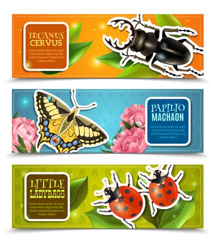 Conjunto de Banners de insectos vector