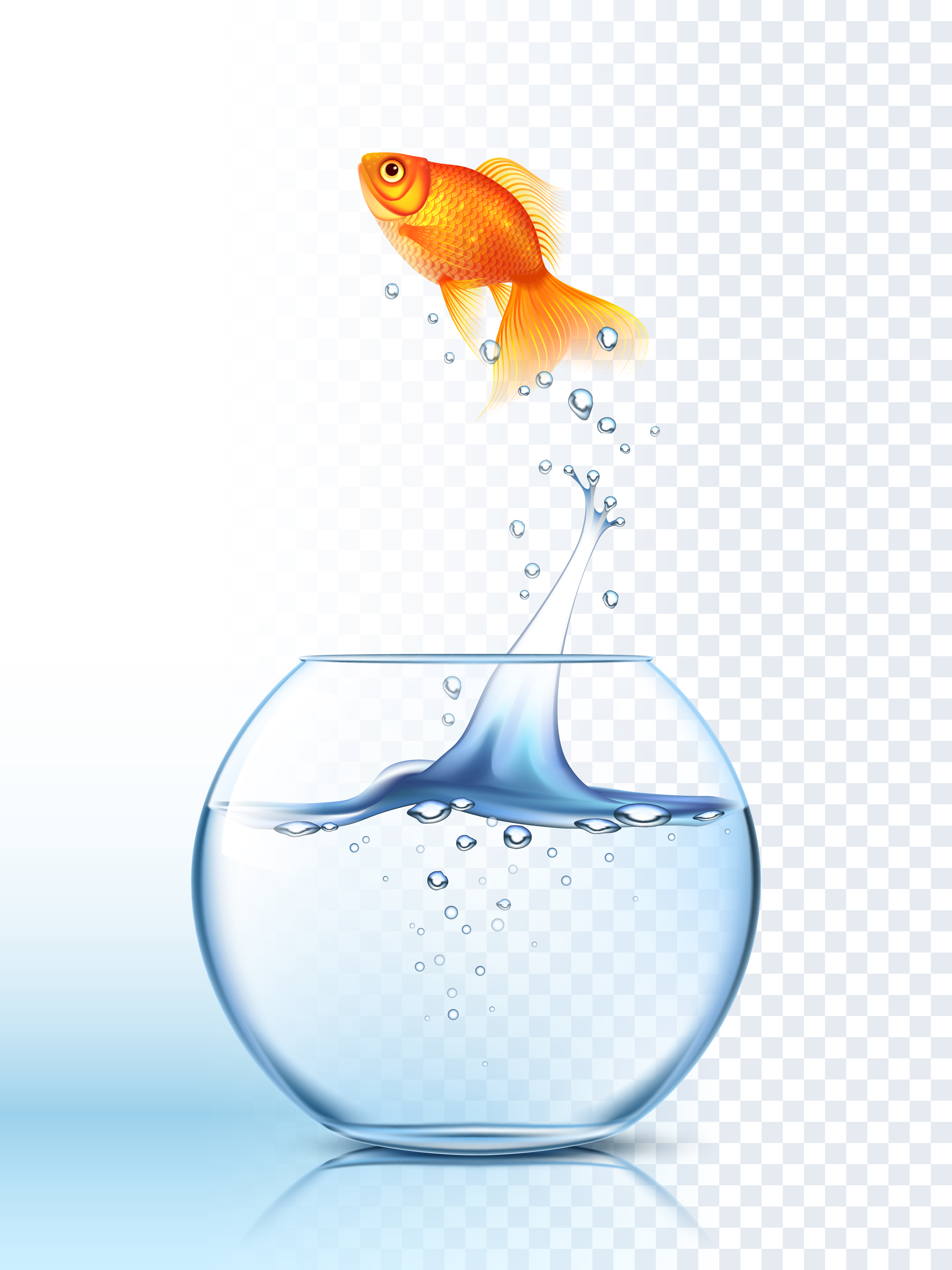 Golden Fish Jumping Out Bowl Poster 479551 Vector Art at Vecteezy