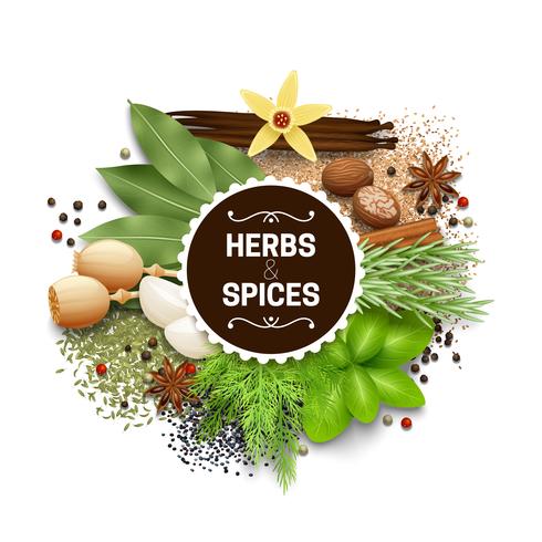 Illustration Of Set With Herbs And Spices vector