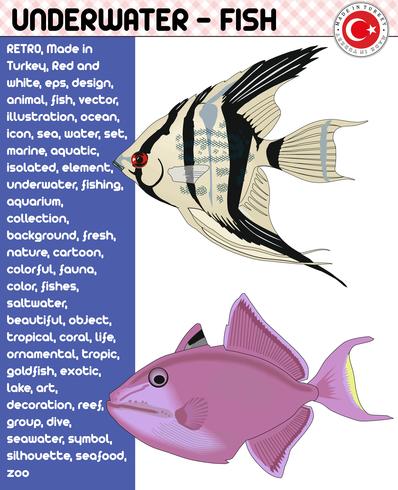 Fish, Fish Species - Underwater Life, eps vector