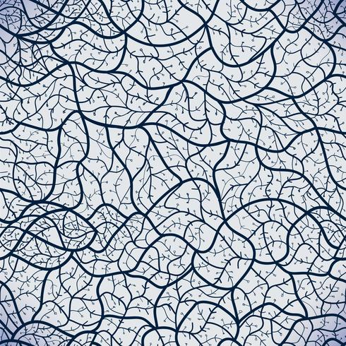 Vector seamless Lace pattern. 