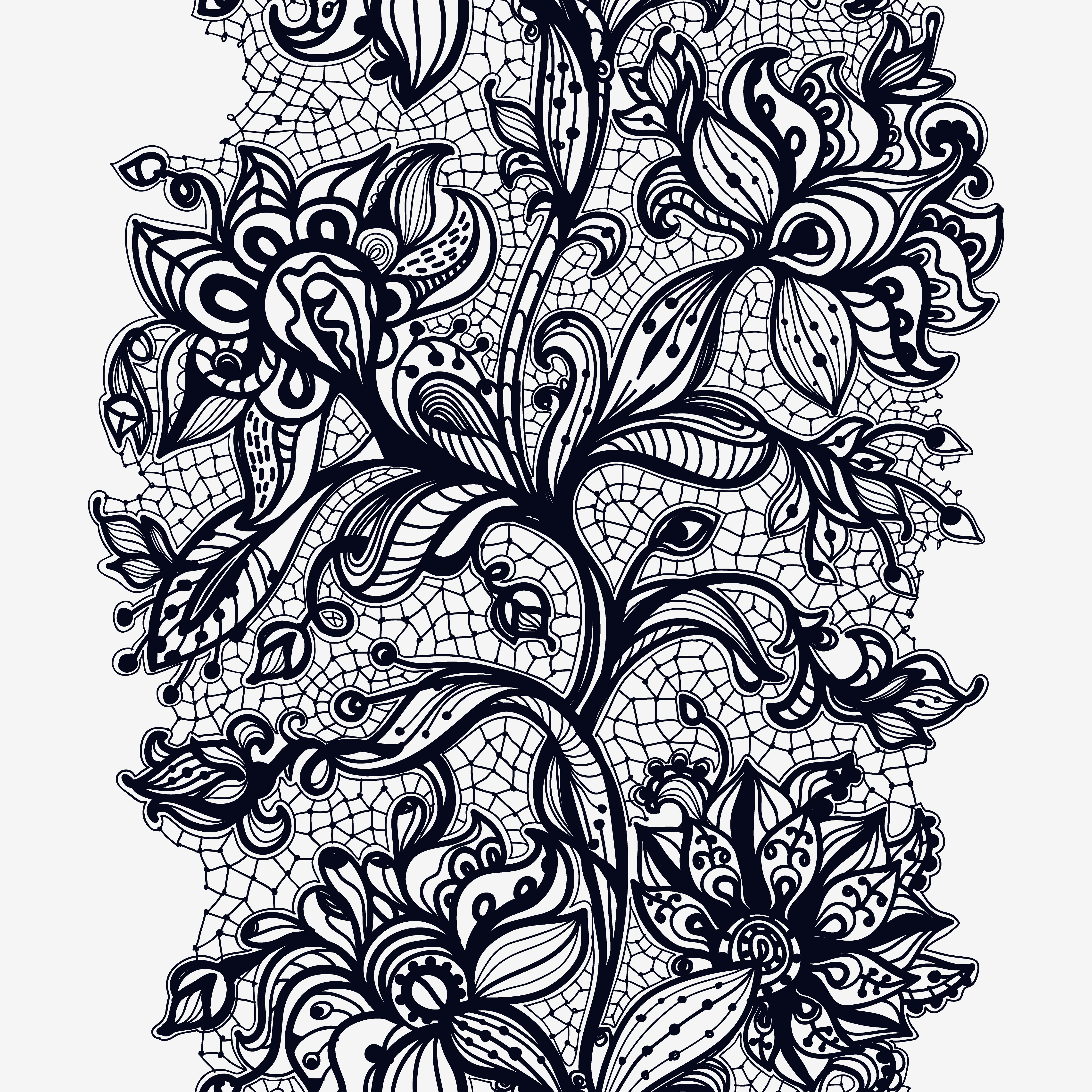 Floral lace border Royalty Free Vector Image - VectorStock