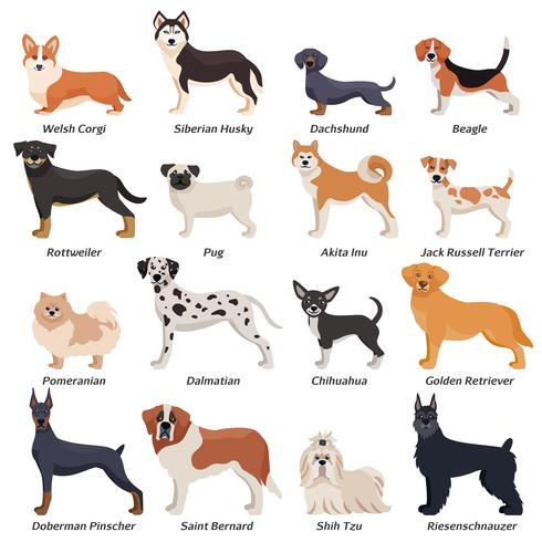 Conjunto de iconos de perros de raza pura color vector