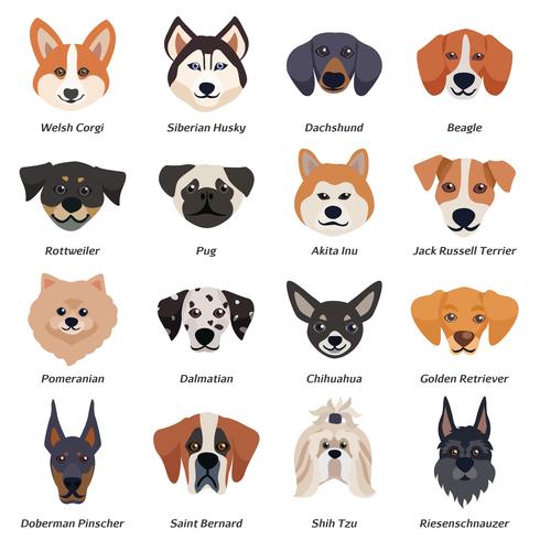 Conjunto de iconos de caras de perros de raza pura vector