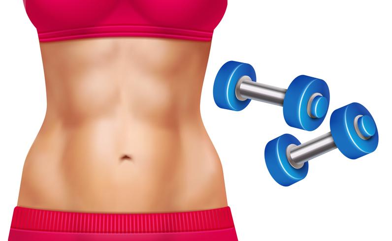 Conjunto realista mujer abs vector