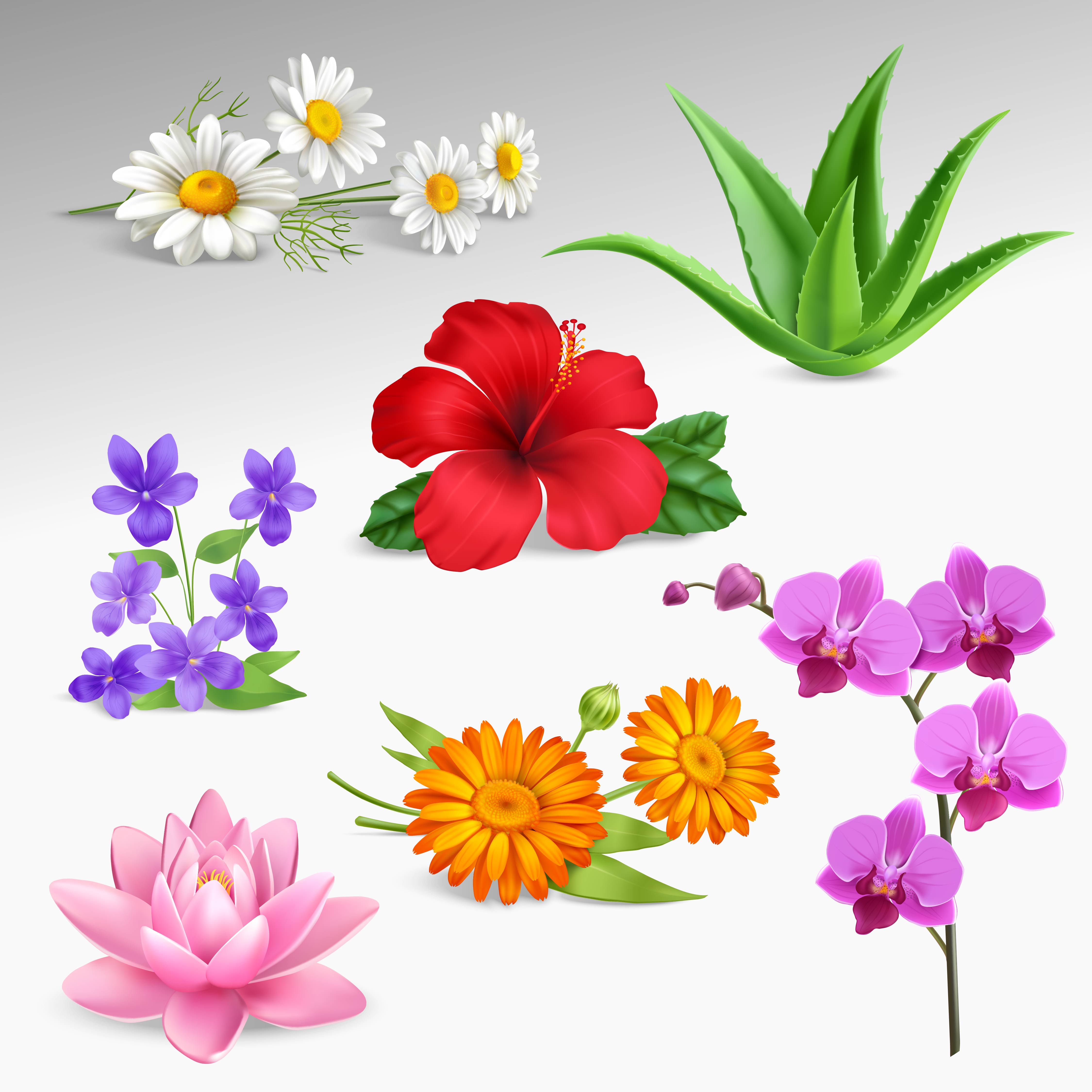 flower icons flower icons