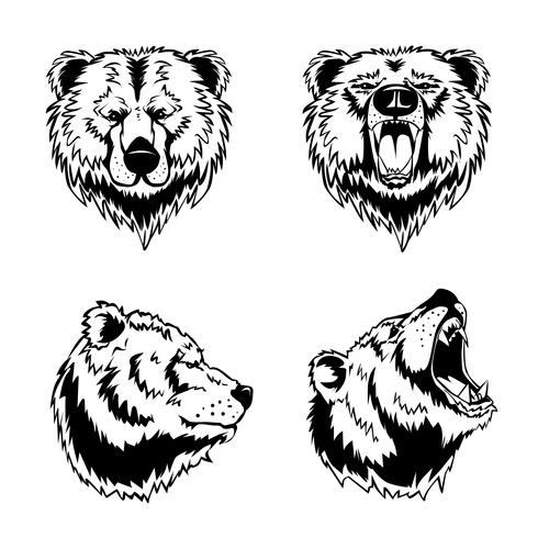 Bear Head Hand Drawn Engravings  vector