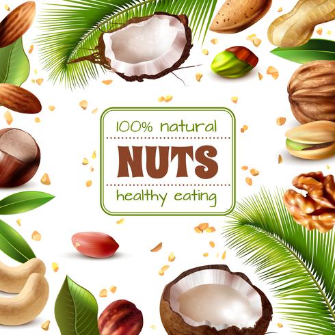 Realistic Nuts Frame vector