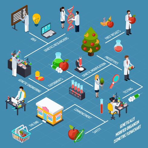 Gmo Isometric Flowchart vector