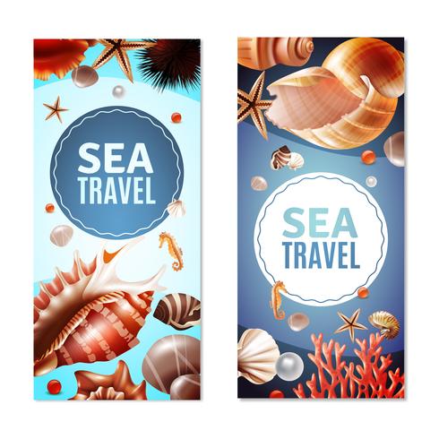 Conjunto de Banners de conchas marinas vector