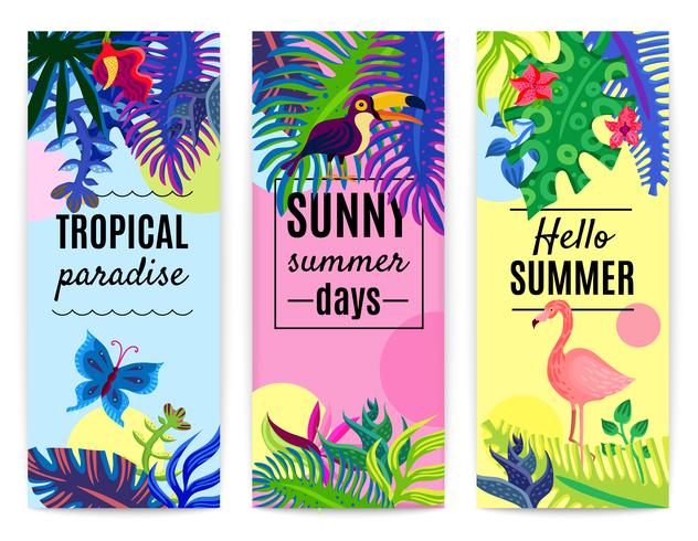 Colección de Banners Verticales del Paraíso Tropical vector