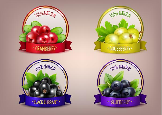 Colección Berry Labels Realistic Eco vector