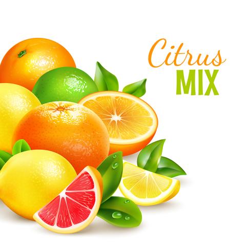 Citrus Fruits Mix Realistic Background Poster vector