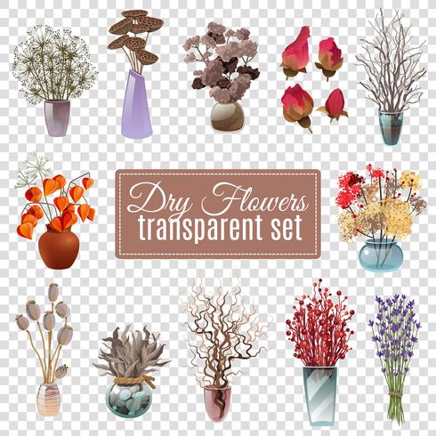 Dry Flowers Transparent Set vector