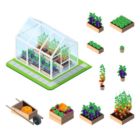 Greenhouse isometric set vector