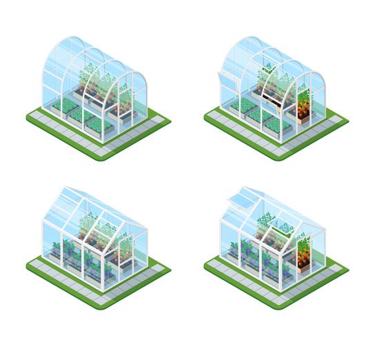 Glass Greenhouse Isometric Set  vector