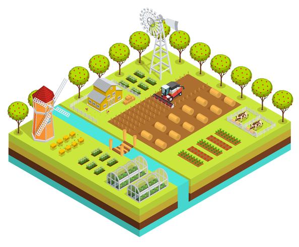 Colored Farm Isometric vector