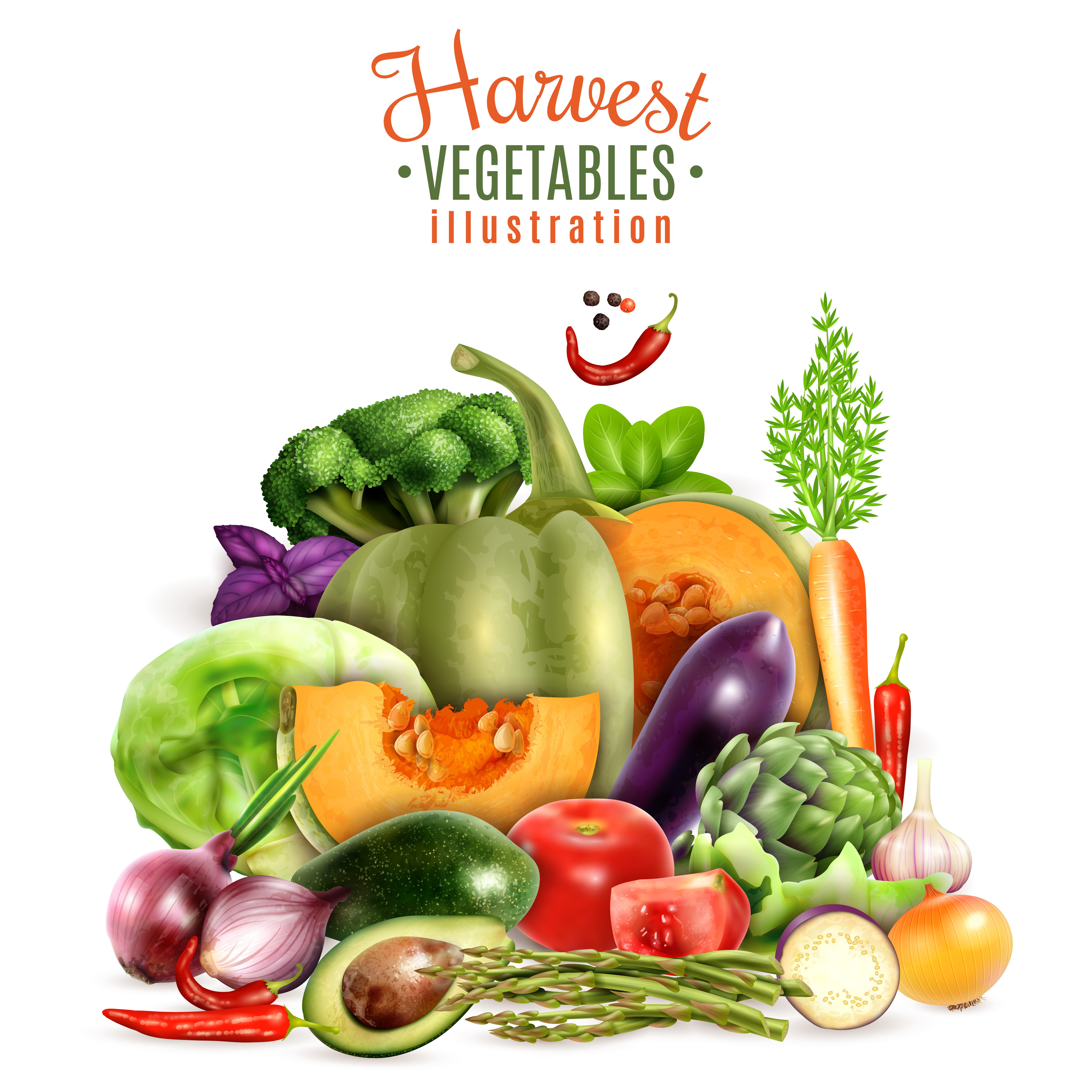 Vegetables. vector illustration © ddraw (#4483315)