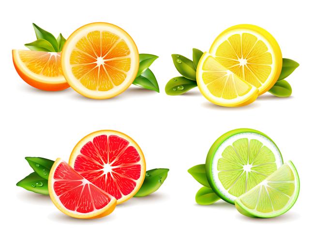 Citrus Fruits  Segments 4 Realistic Icons  vector