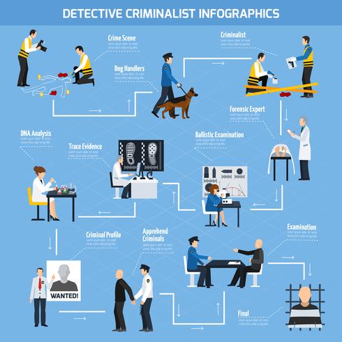 Los expertos de la policía de estilo plano infografía vector