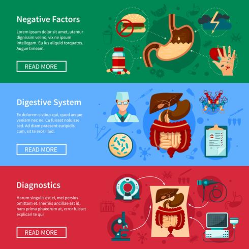 Digestive System Flat Banner Set vector