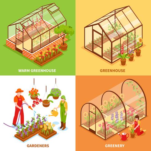 Greenhouse Design Concept Set vector