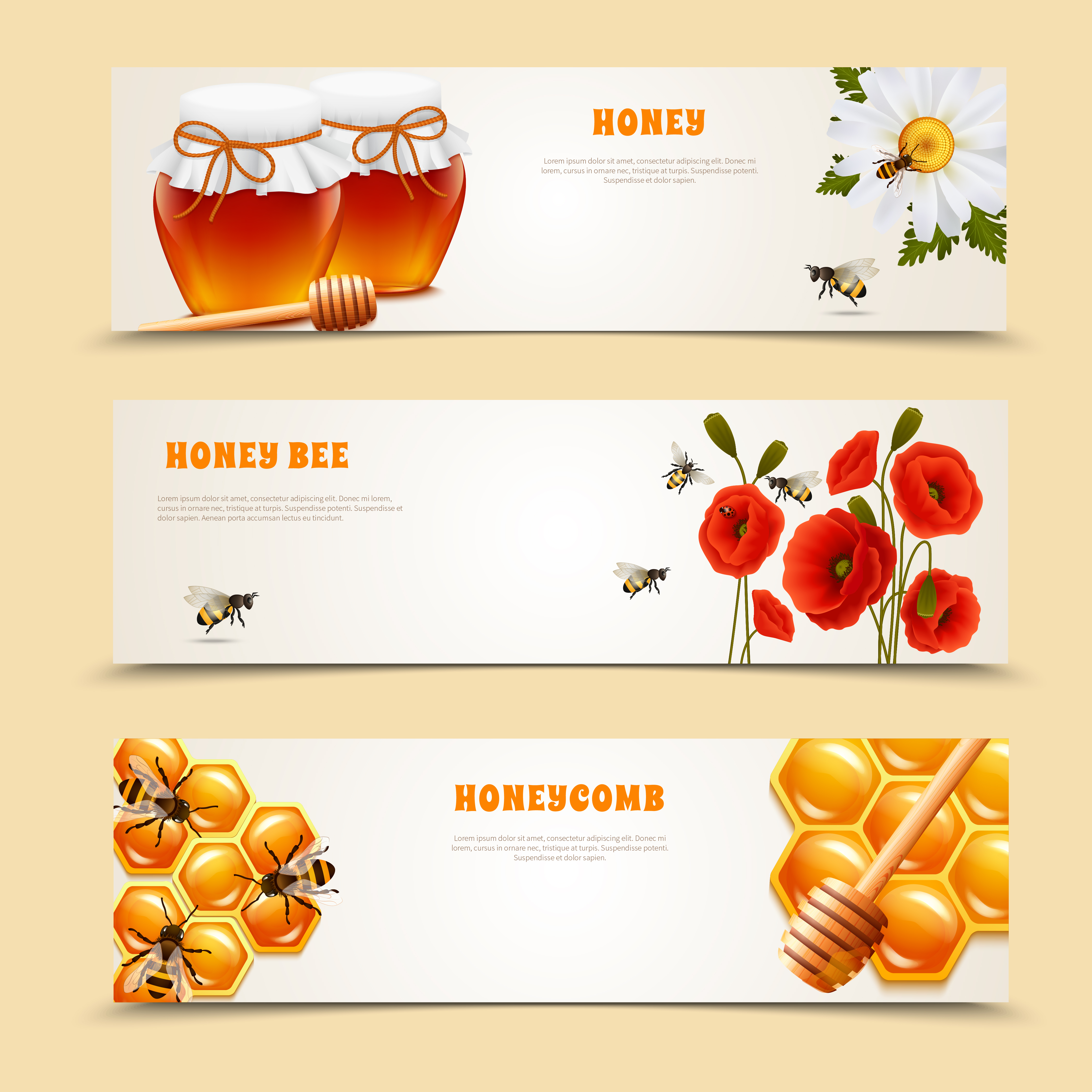 Three Honey Banner Set - Download Free Vectors, Clipart Graphics