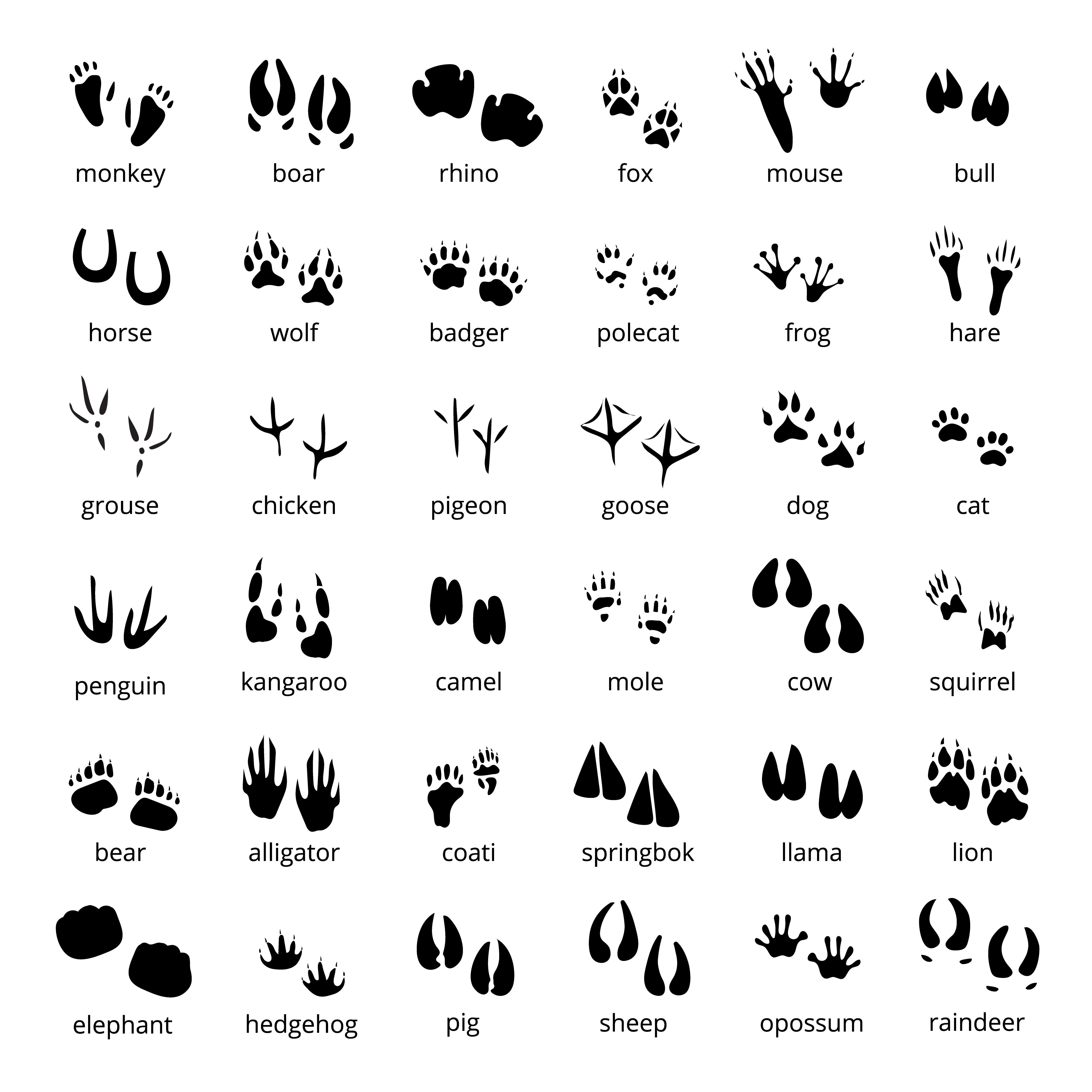 Download Silhouette Animal Track Set 482795 - Download Free Vectors, Clipart Graphics & Vector Art