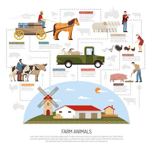 Farm Animals Flowchart Concept vector