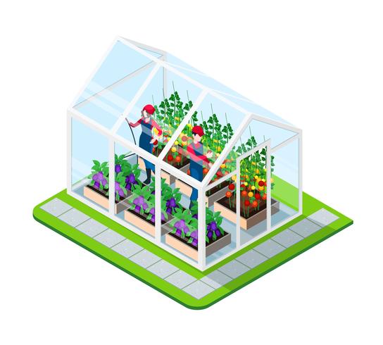 Greenhouse Isometric Concept vector