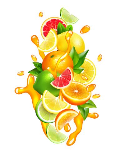 Citrus Fruits Juice  Drops Colorful Composition vector