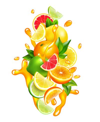 Jugo de frutas cítricas gotas Composición colorida vector