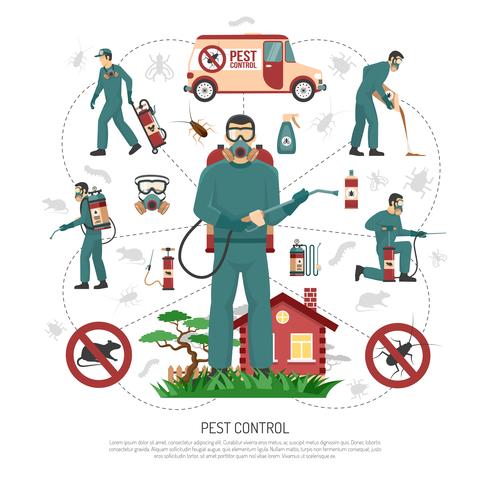 Pest Control Services Flat Infographic Poster  vector