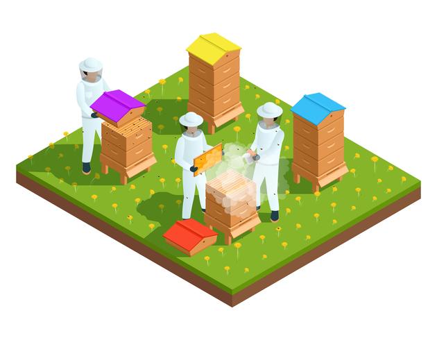 Beekeeping apiary isometric composition vector