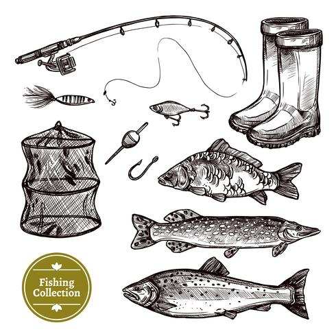 Conjunto de dibujo de pesca vector