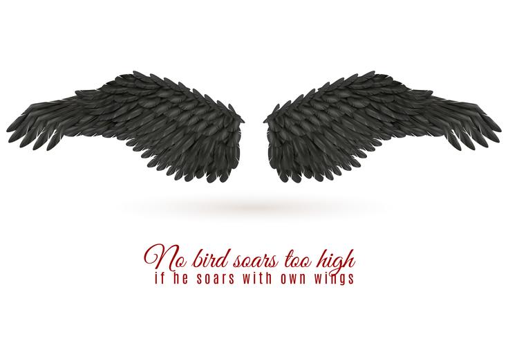 Dark Bird Wing Background vector