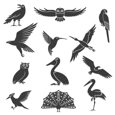 Conjunto de iconos negro de siluetas de aves estilizada vector