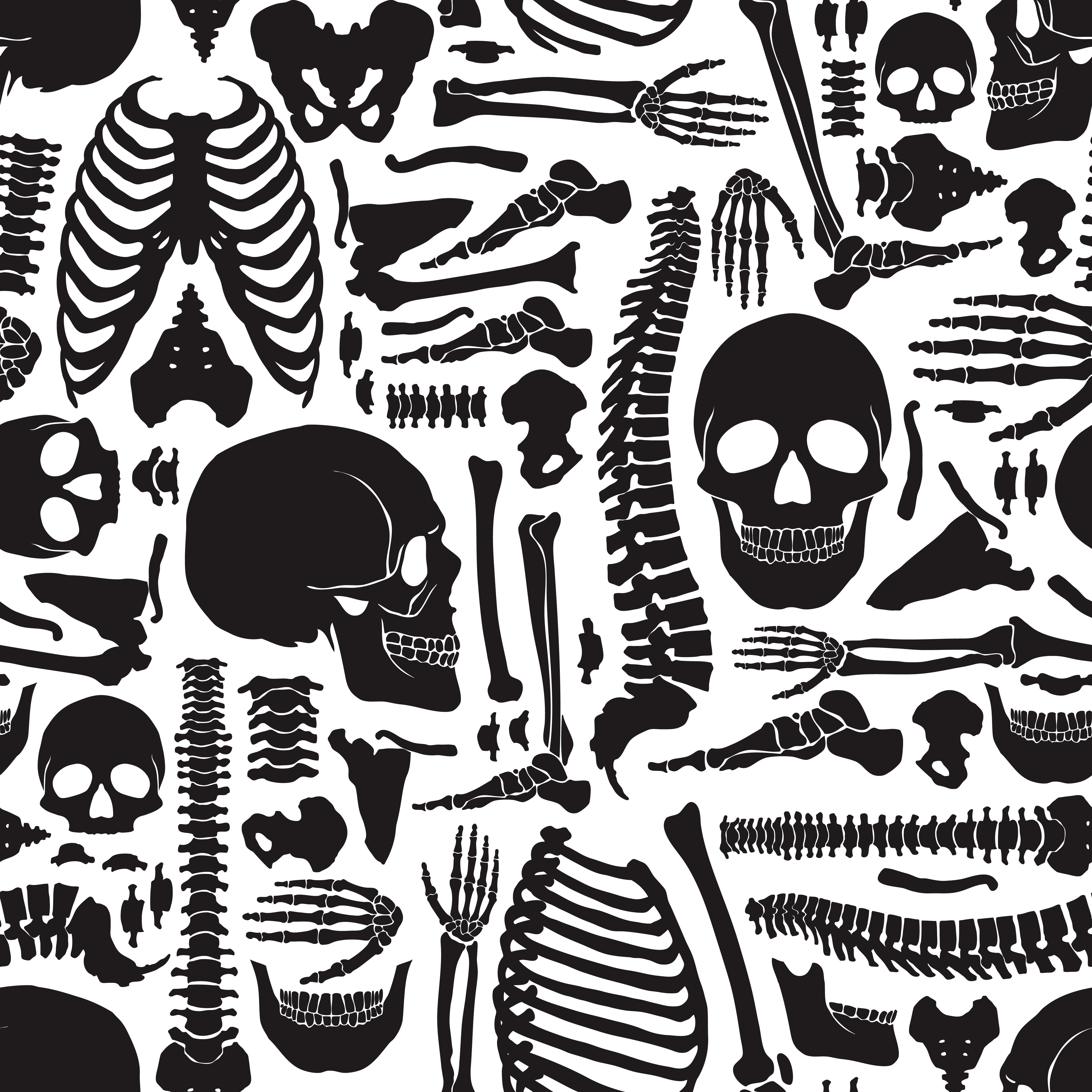 Download Human Bones Skeleton Pattern - Download Free Vectors, Clipart Graphics & Vector Art