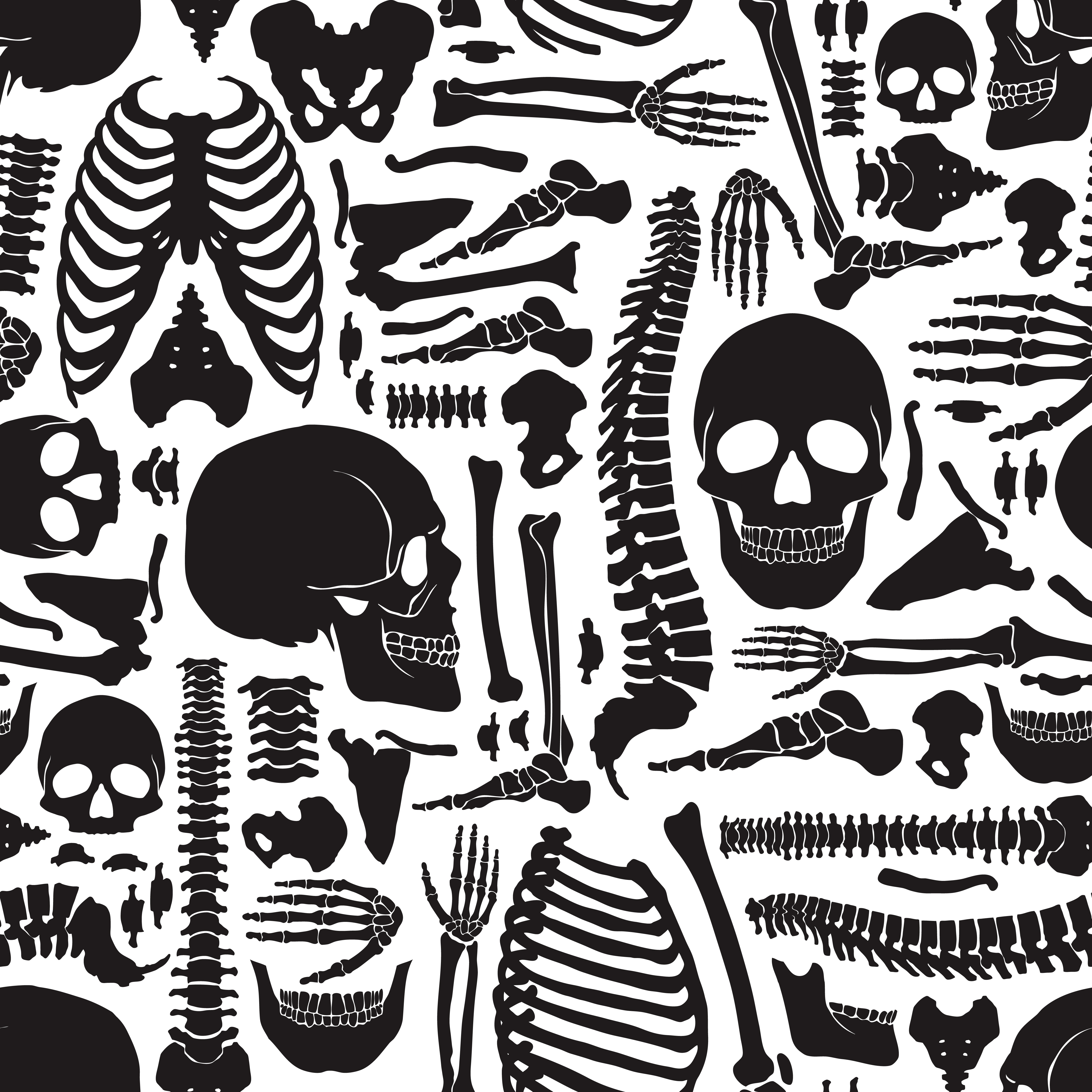 Human Bones Skeleton Pattern 483545 Vector Art At Vecteezy