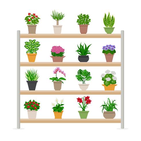 Plantas de interior en estantes ilustración vector