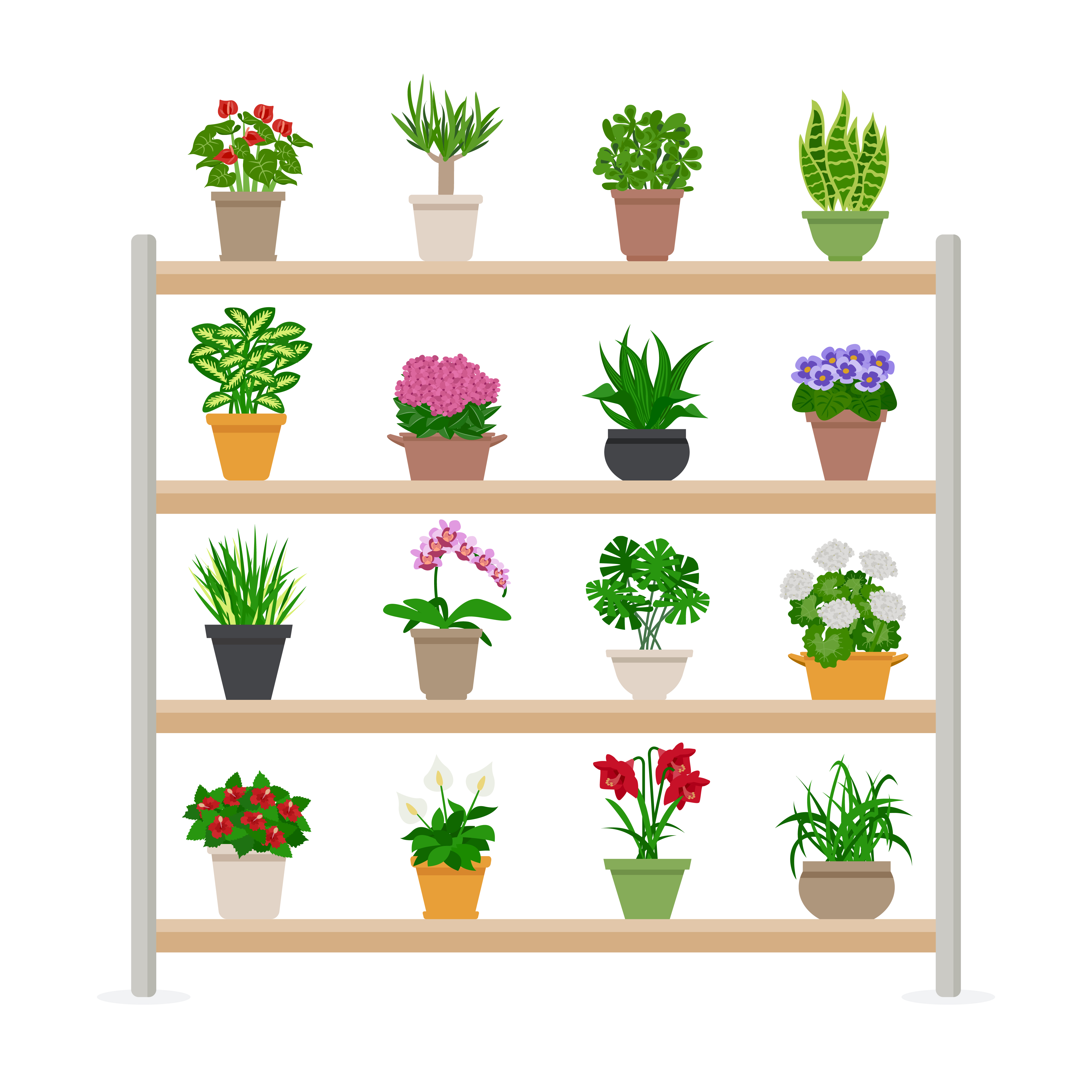 Houseplants On Shelves Illustration - Download Free ...