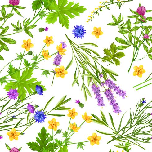 Herbs And Wild Flowers Seamless Pattern vector
