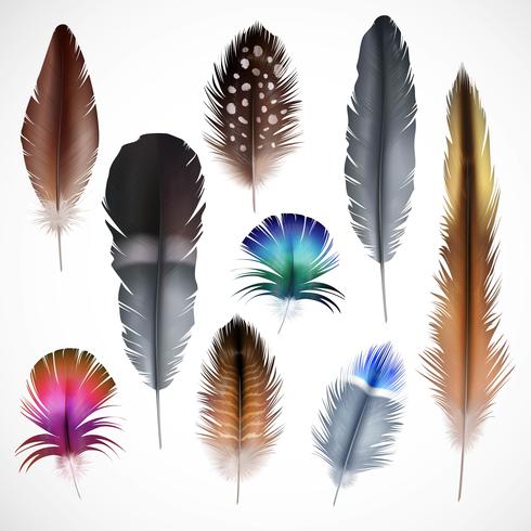 Set de plumas realistas vector