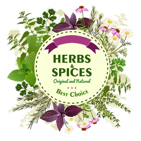 Herbal Background With Meadow Flowers vector