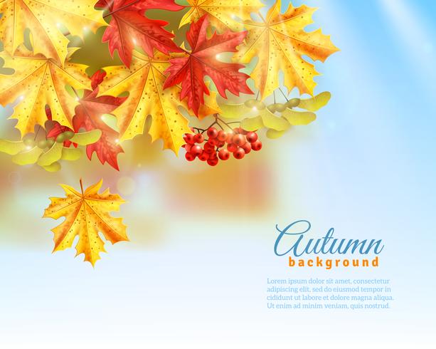 Flat Autumn Background vector