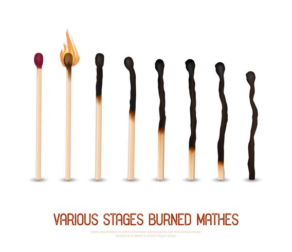 Burned Matches Set vector