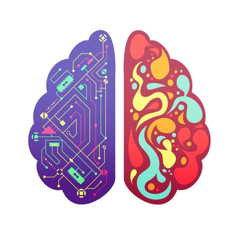 Imagen colorida simbólica del cerebro izquierdo derecho vector