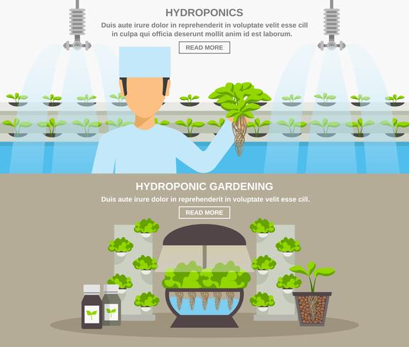 Hydroponic Design Illustration vector