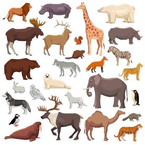 Conjunto grande de animales vector