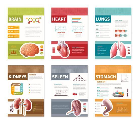 Internal Human Organs Banners  vector